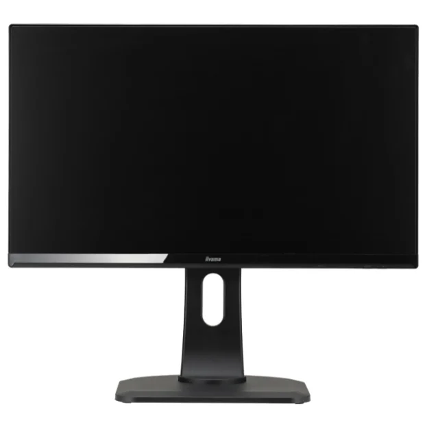 Монитор Iiyama ProLite XUB2390HS-B1